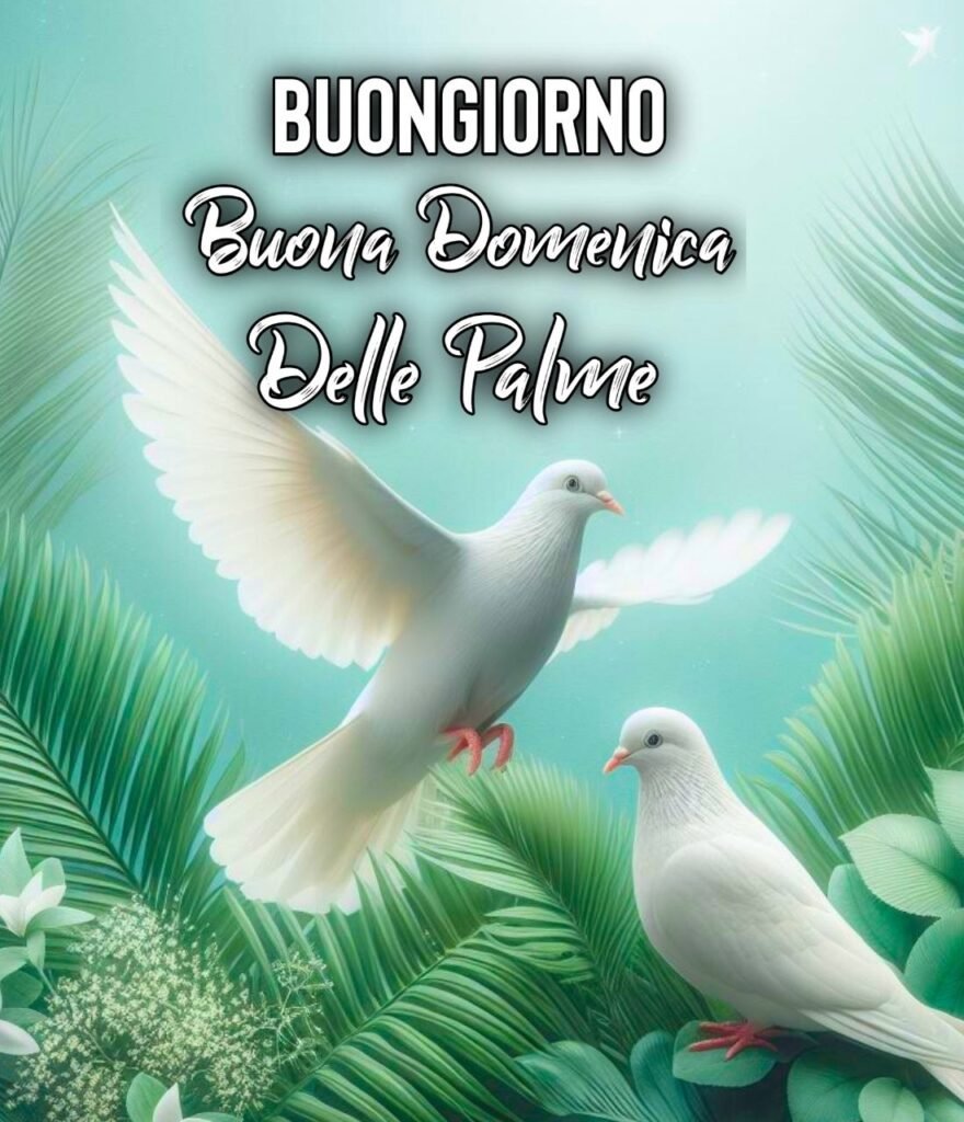 24 Marzo Auguri Per La Domenica Delle Palme Immagini