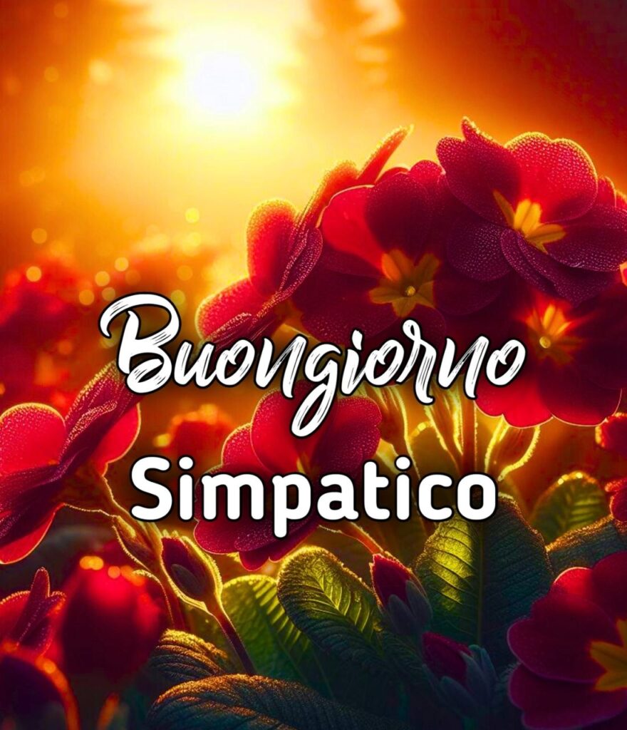 Allegro Buongiorno Simpatico