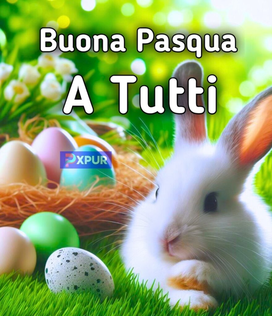 Auguro A Tutti Una Buona Pasqua