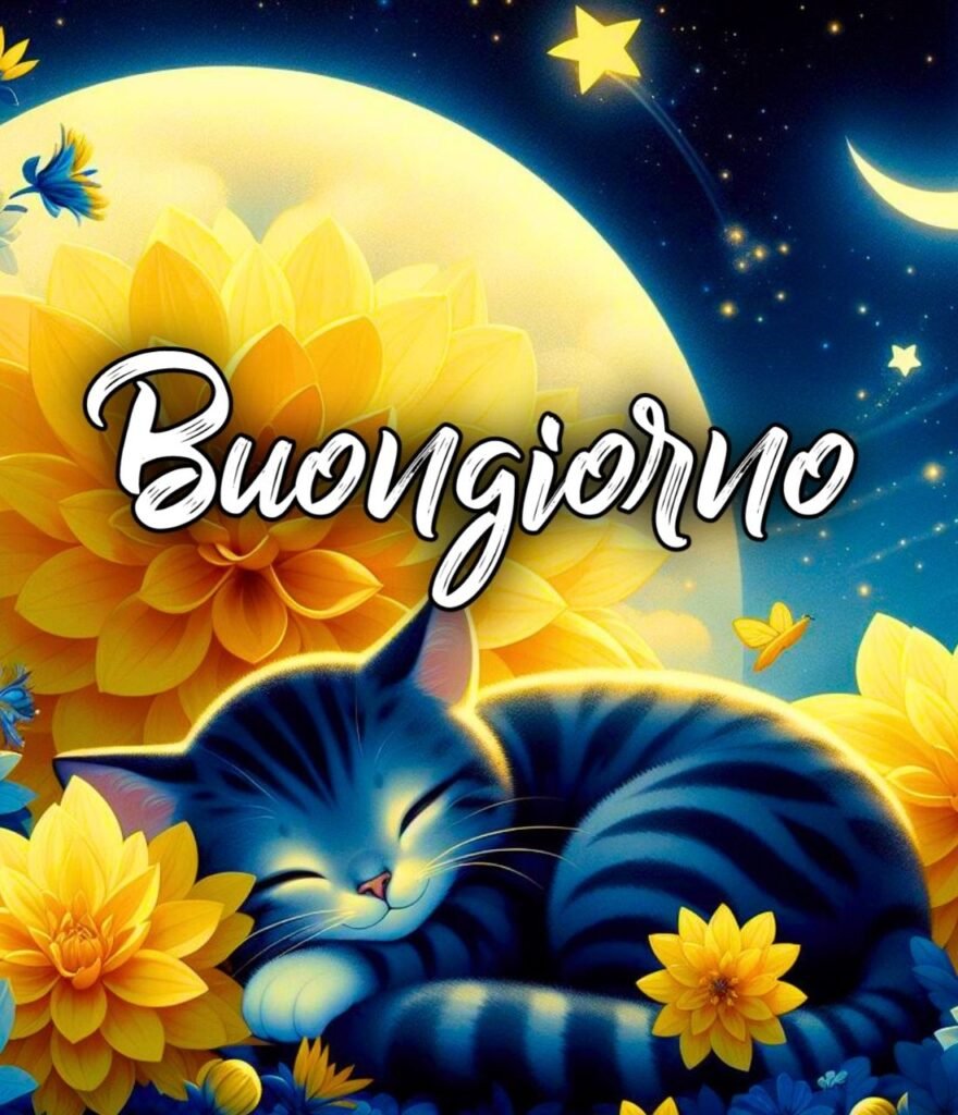 Belle Immagini Buonanotte