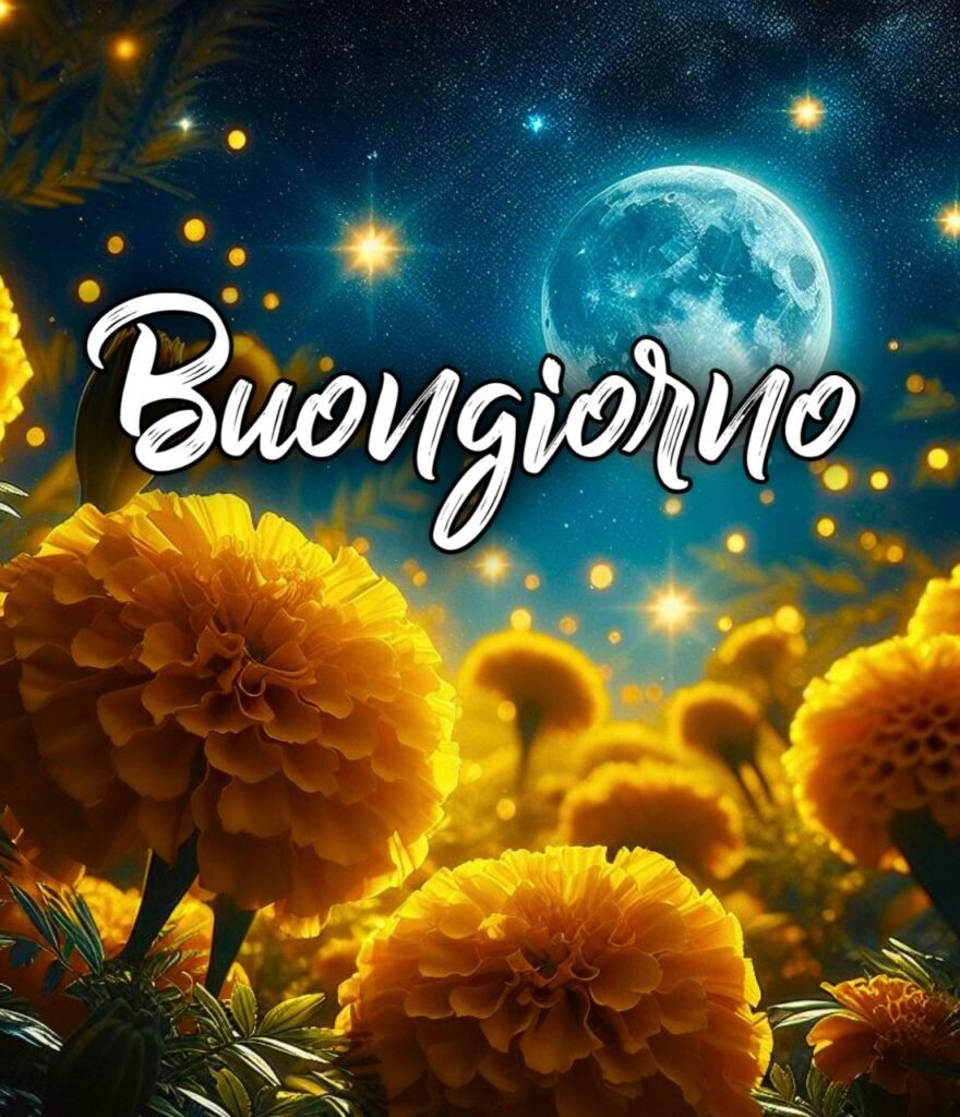 Belle Immagini.org Buonanotte