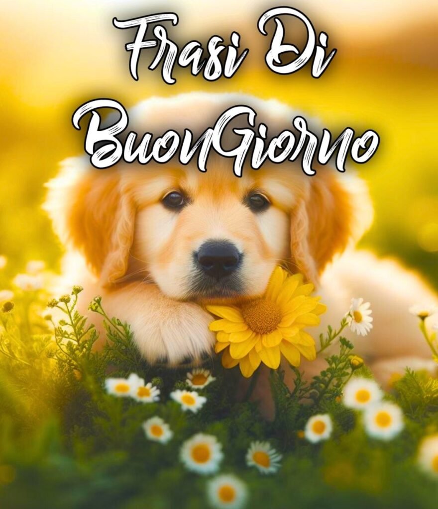 Bellissime Frasi Di Buongiorno