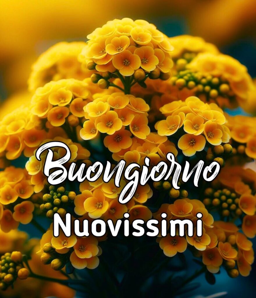 Bellissime Sabato Nuovissime Buongiorno Immagini Recenti