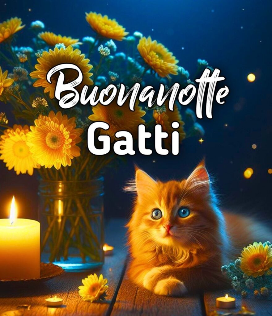 Buffi Buonanotte Gatti