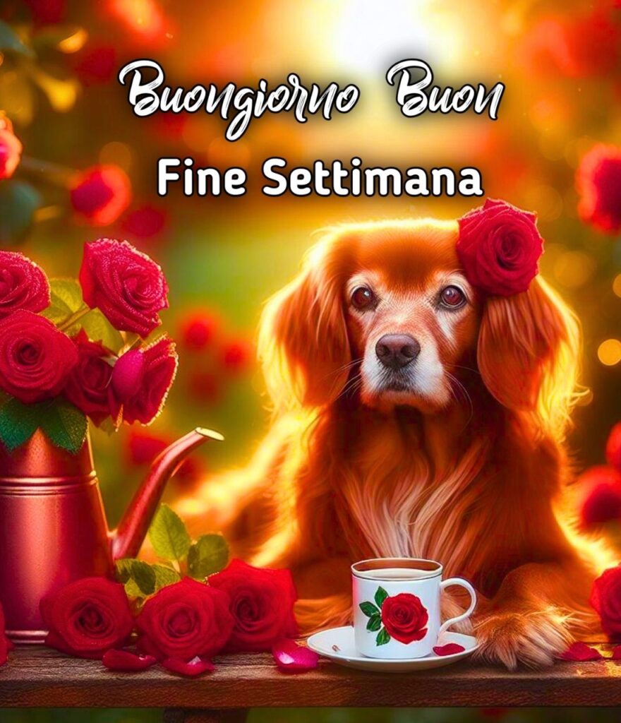 Buon Fine Settimana Buongiorno