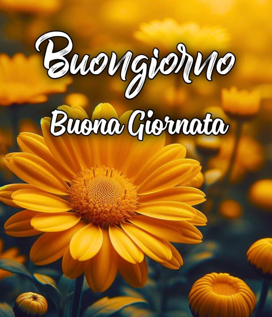 Buon Giorno Buongiorno