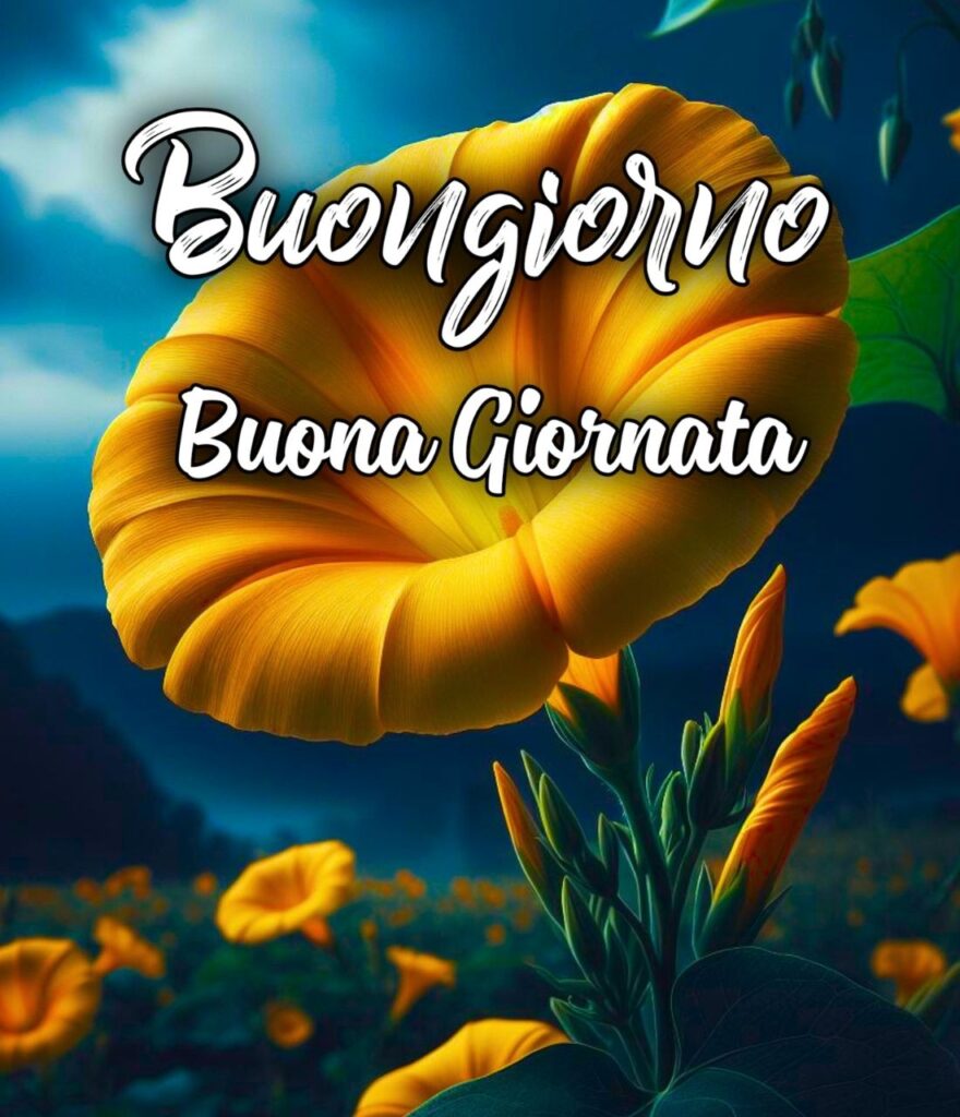 Buon Giorno Le Fate Del Sole Buongiorno Immagini Divertenti