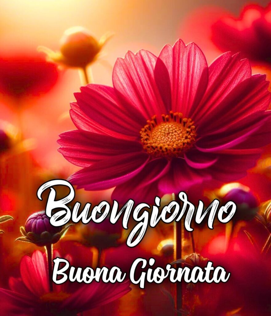 Buon Giovedì Buongiorno Buona Giornata