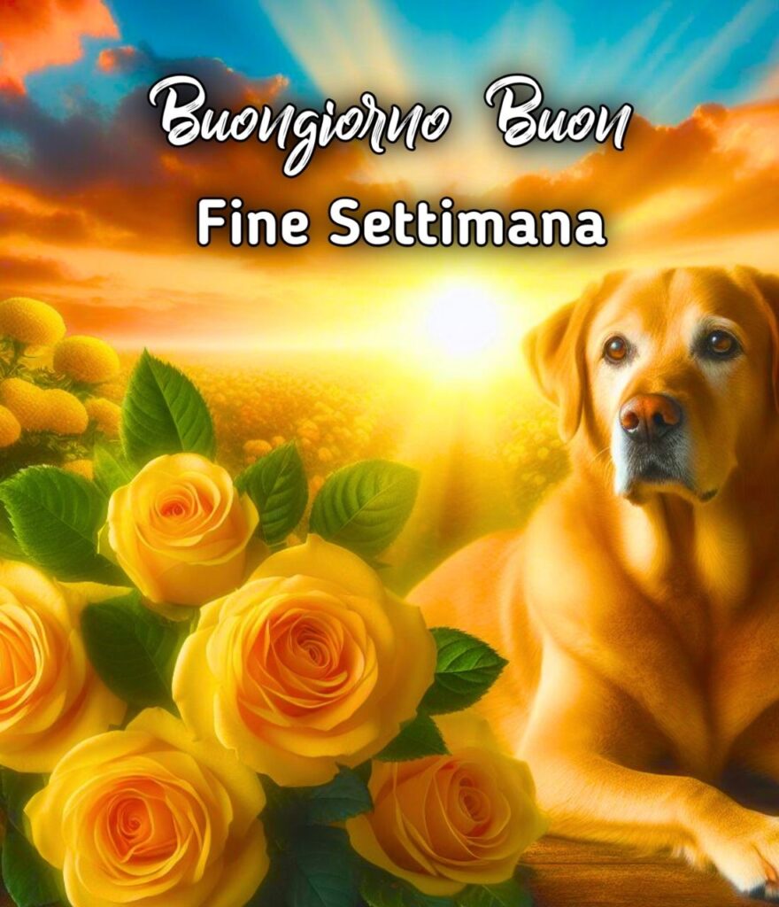 Buon Sabato Buongiorno Buon Fine Settimana