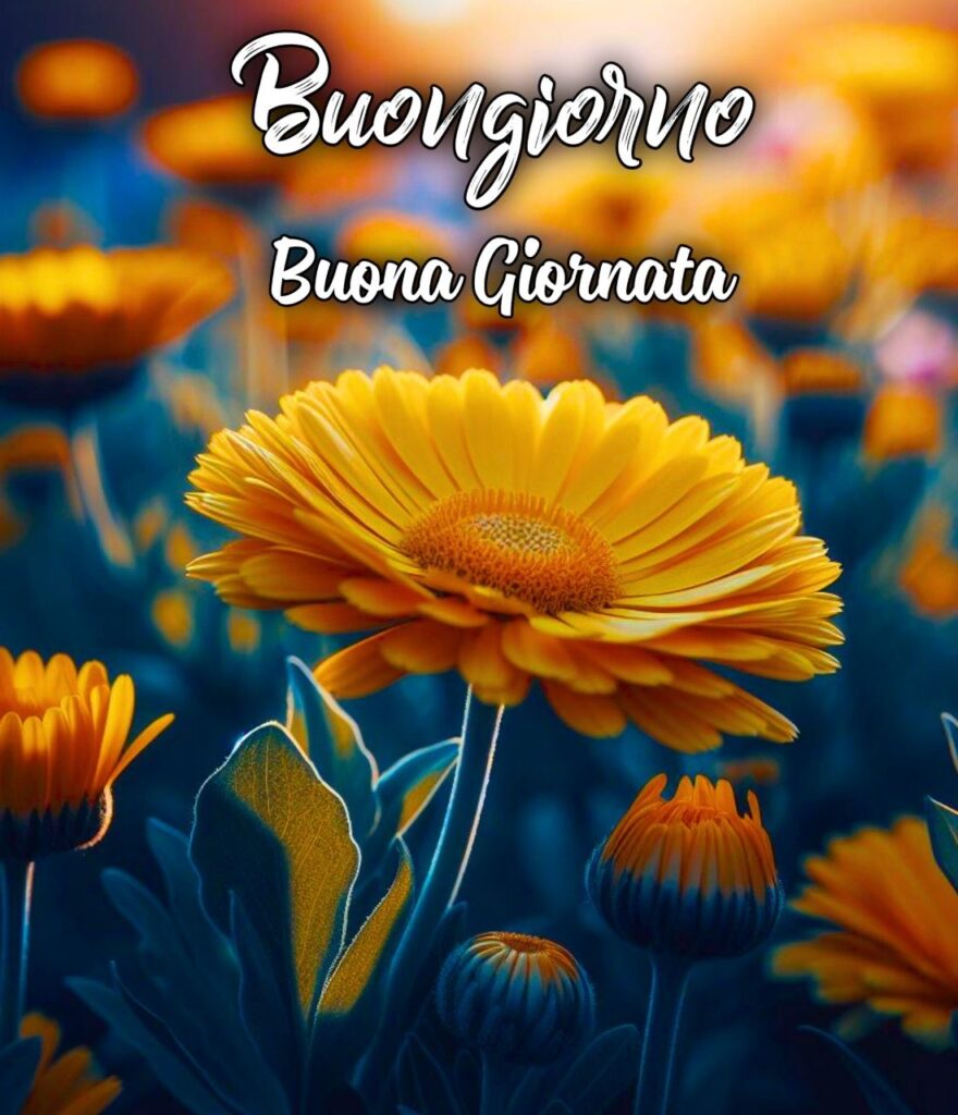 Buona Giornata Buongiorno A Tutti