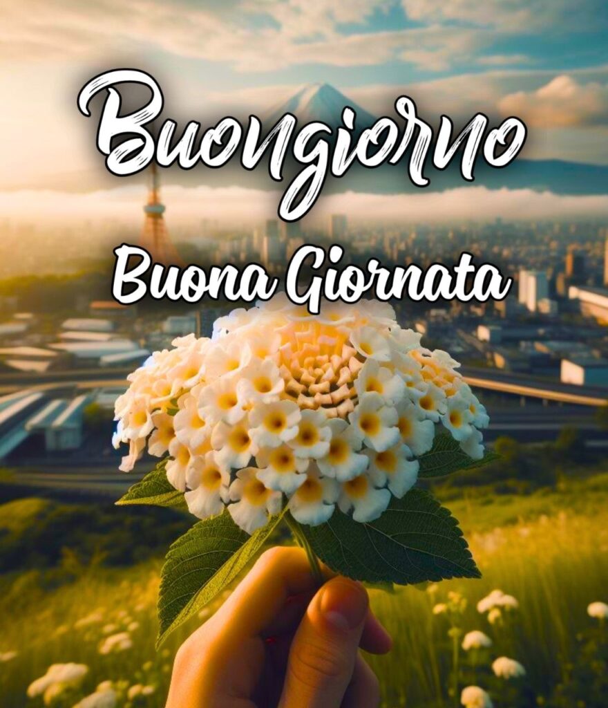 Buona Giornata Buongiorno Amici