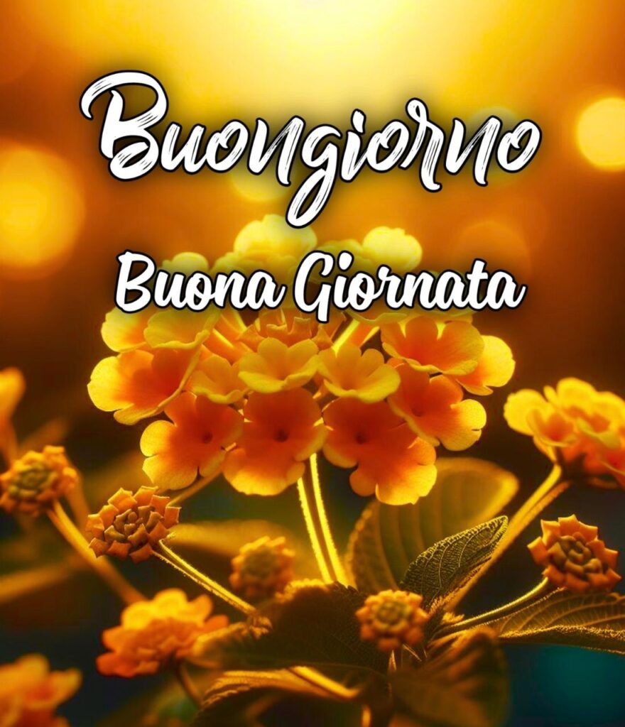 Buona Giornata Buongiorno Immagini Nuove