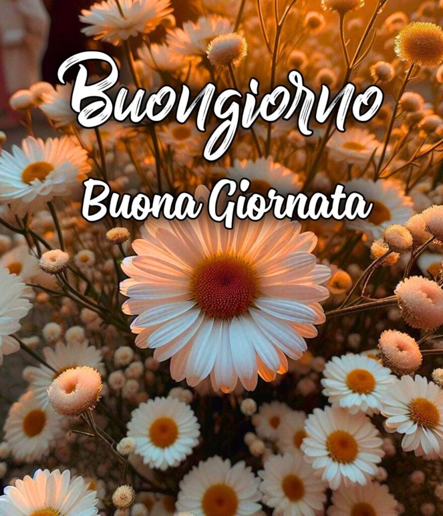 Buona Giornata Buongiorno Le Ali Del Sorriso