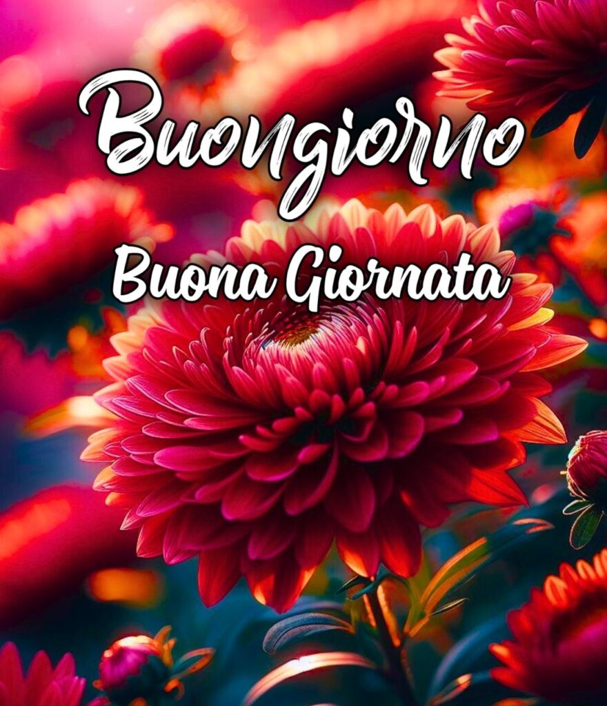 Buona Giornata Buongiorno Martedì