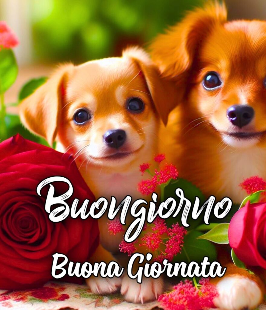 Buona Giornata Divertente Buongiorno