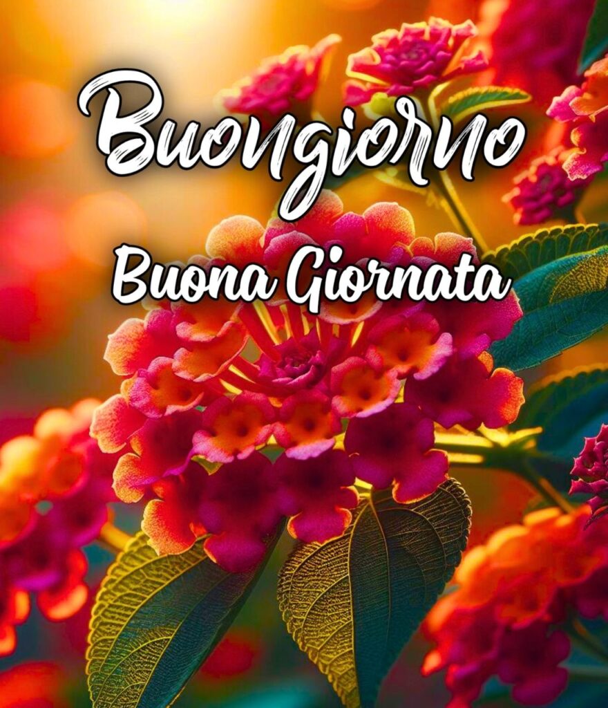 Buona Giornata Immagini Buongiorno