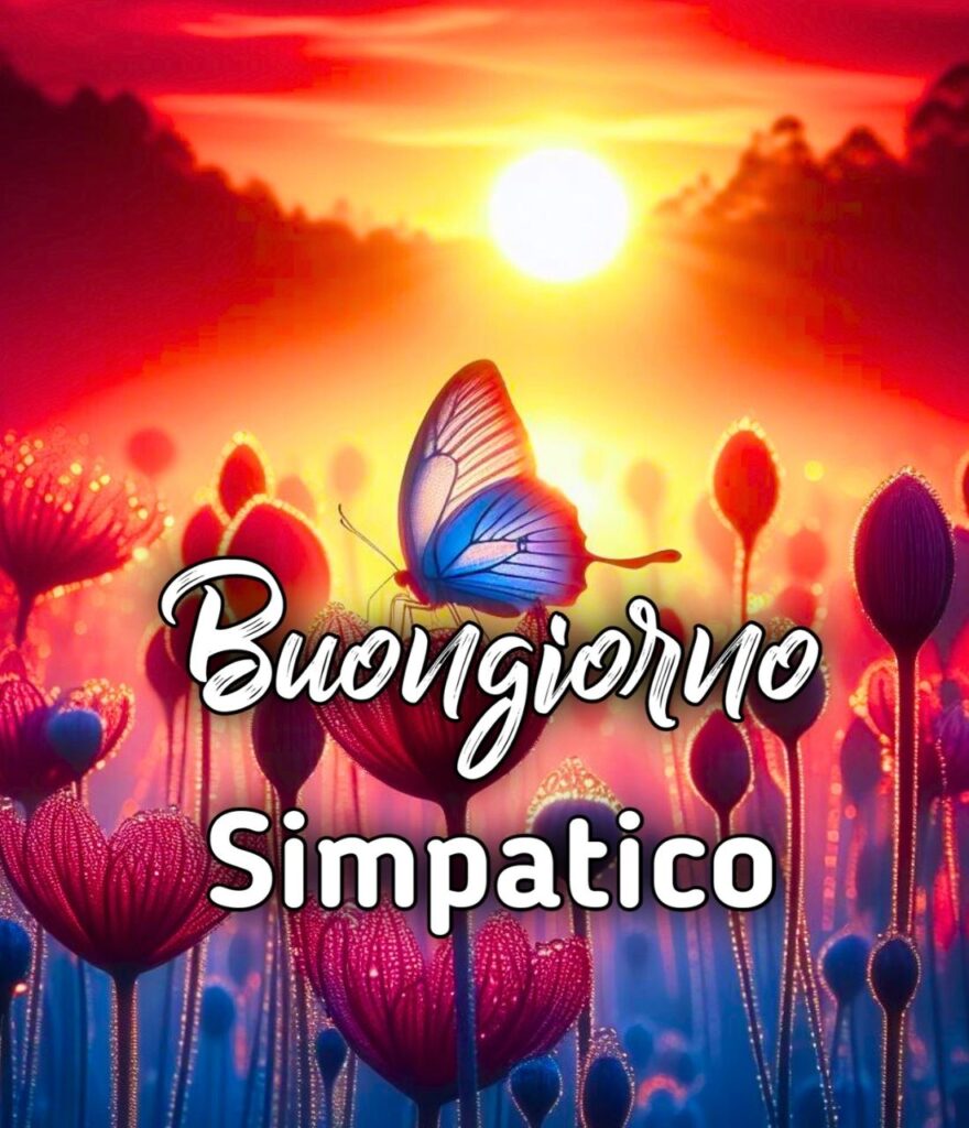 Buona Giornata Simpatica