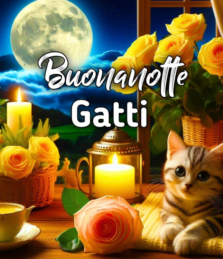 Buonanotte A Domani Con Gatti