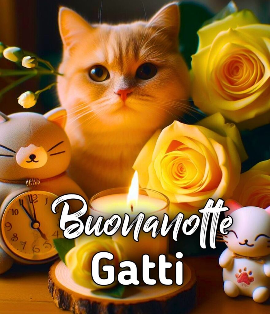 Buonanotte Coi Gatti