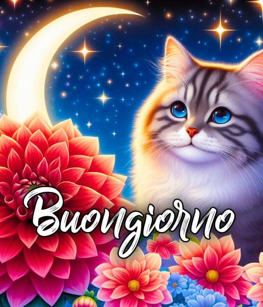 Buonanotte Con Affetto Immagini Belle