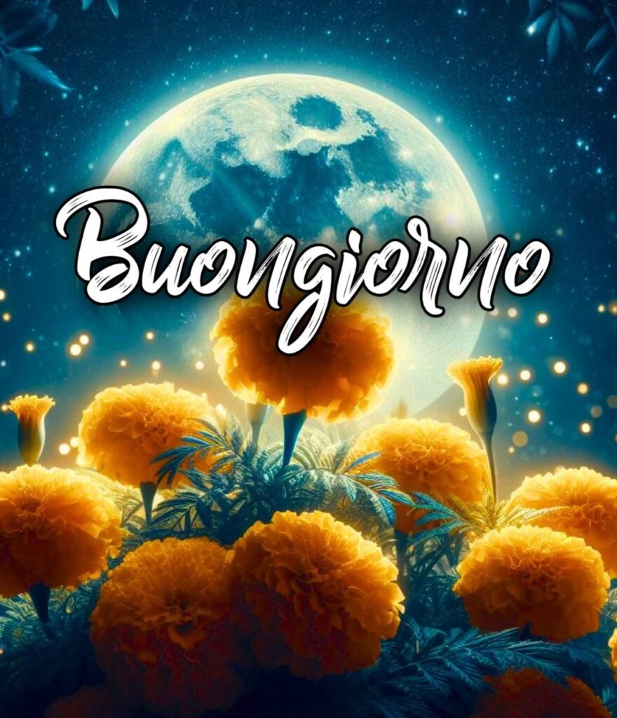 Buonanotte Con Affetto Immagini Belle Whatsapp