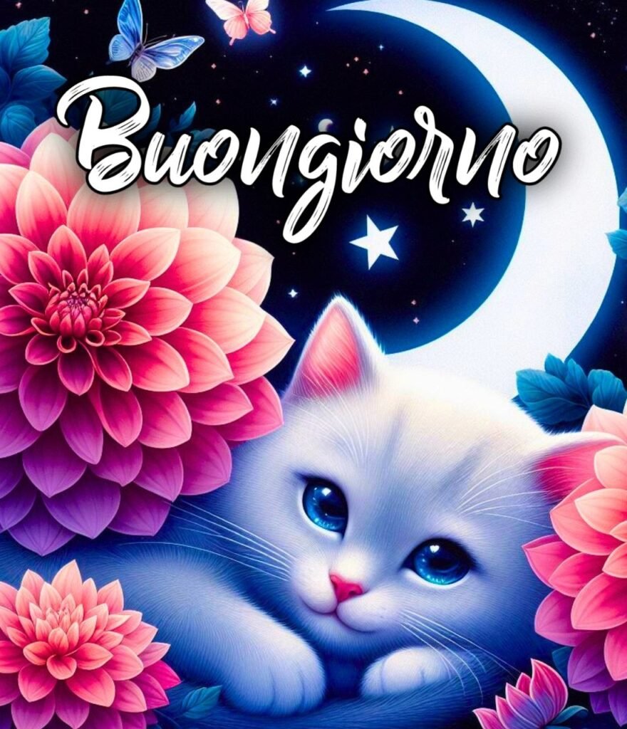 Buonanotte Con Affetto Immagini Belle Whatsapp Gratis