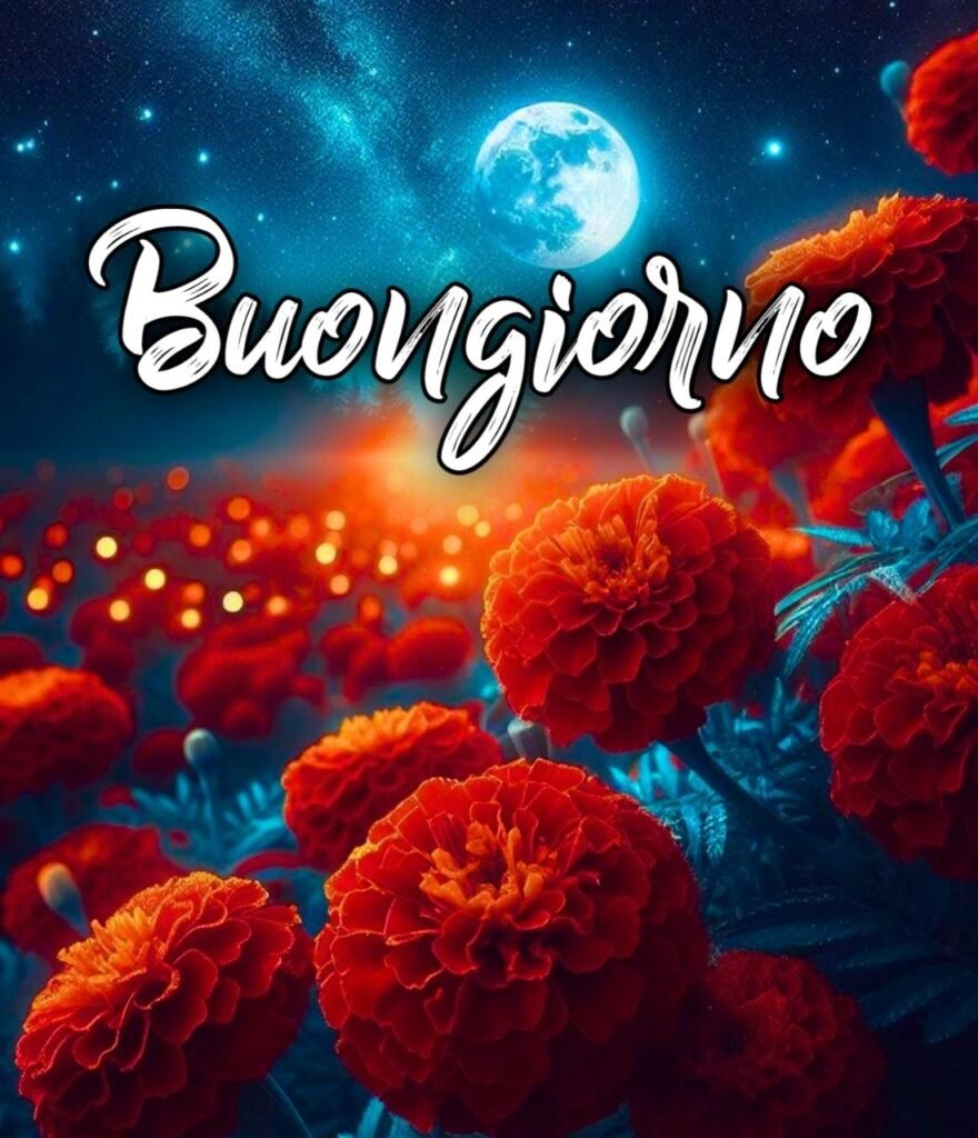 Buonanotte Con Affetto Immagini Belle Whatsapp Gratis Per Whatsapp