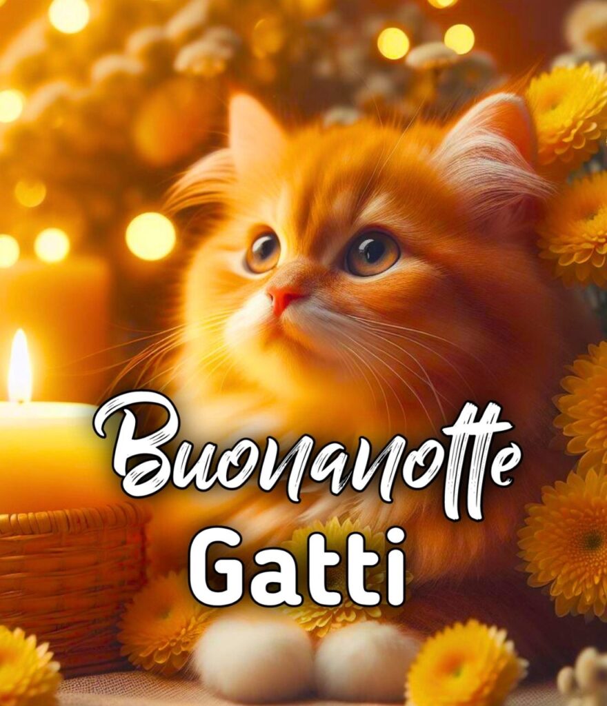 Buonanotte Con Cani E Gatti