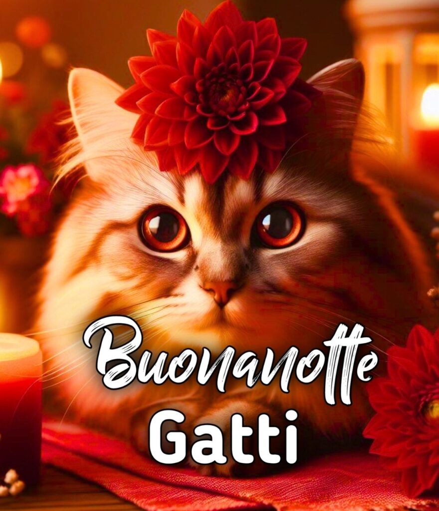 Buonanotte Con Cani E Gatti Gif