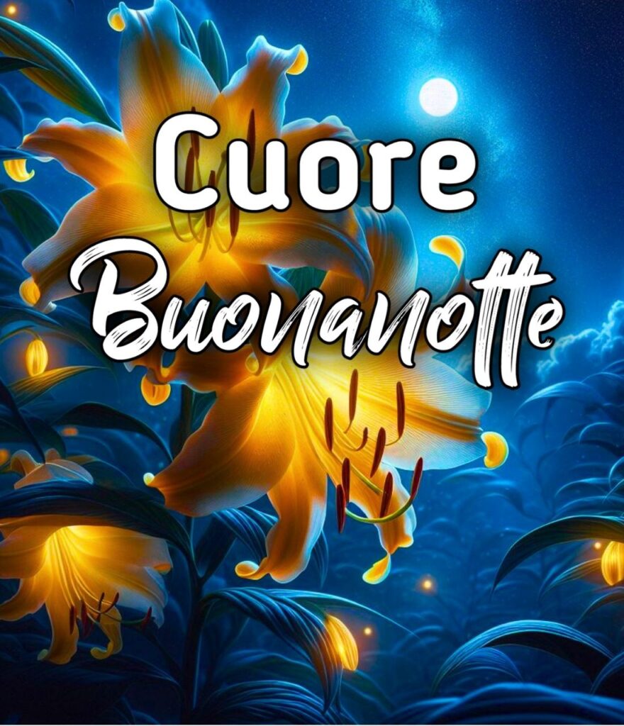 Buonanotte Con Cuore