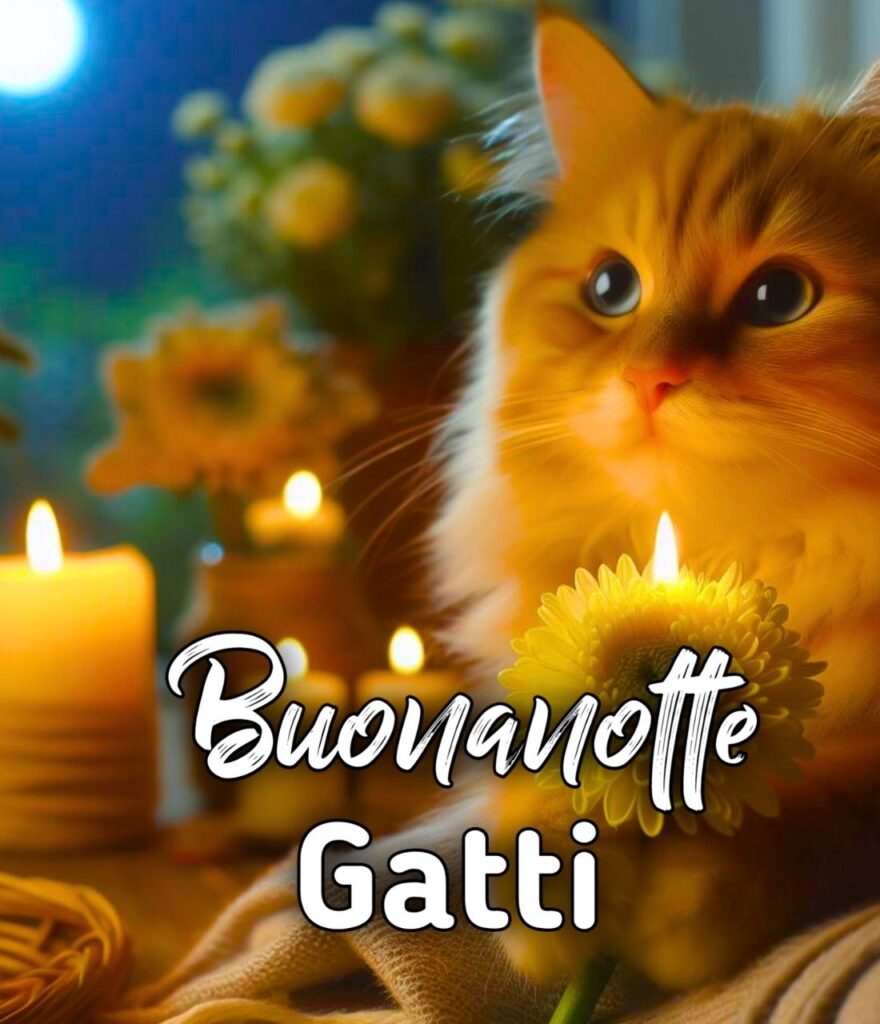 Buonanotte Con Gatti E Cani