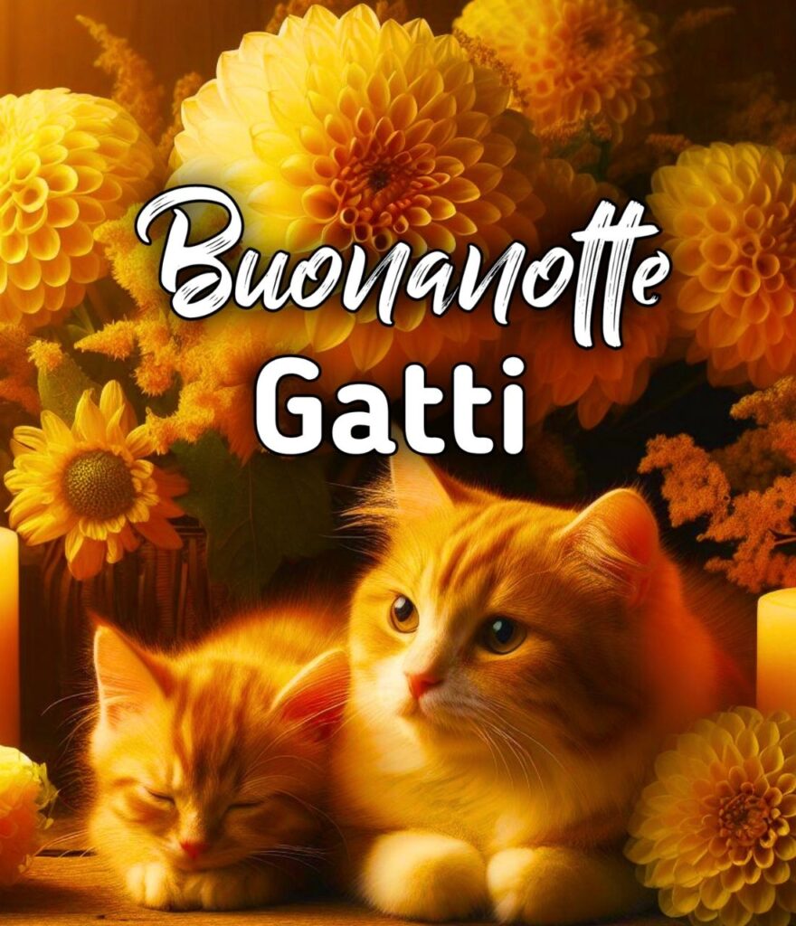 Buonanotte Con Gatti E La Luna