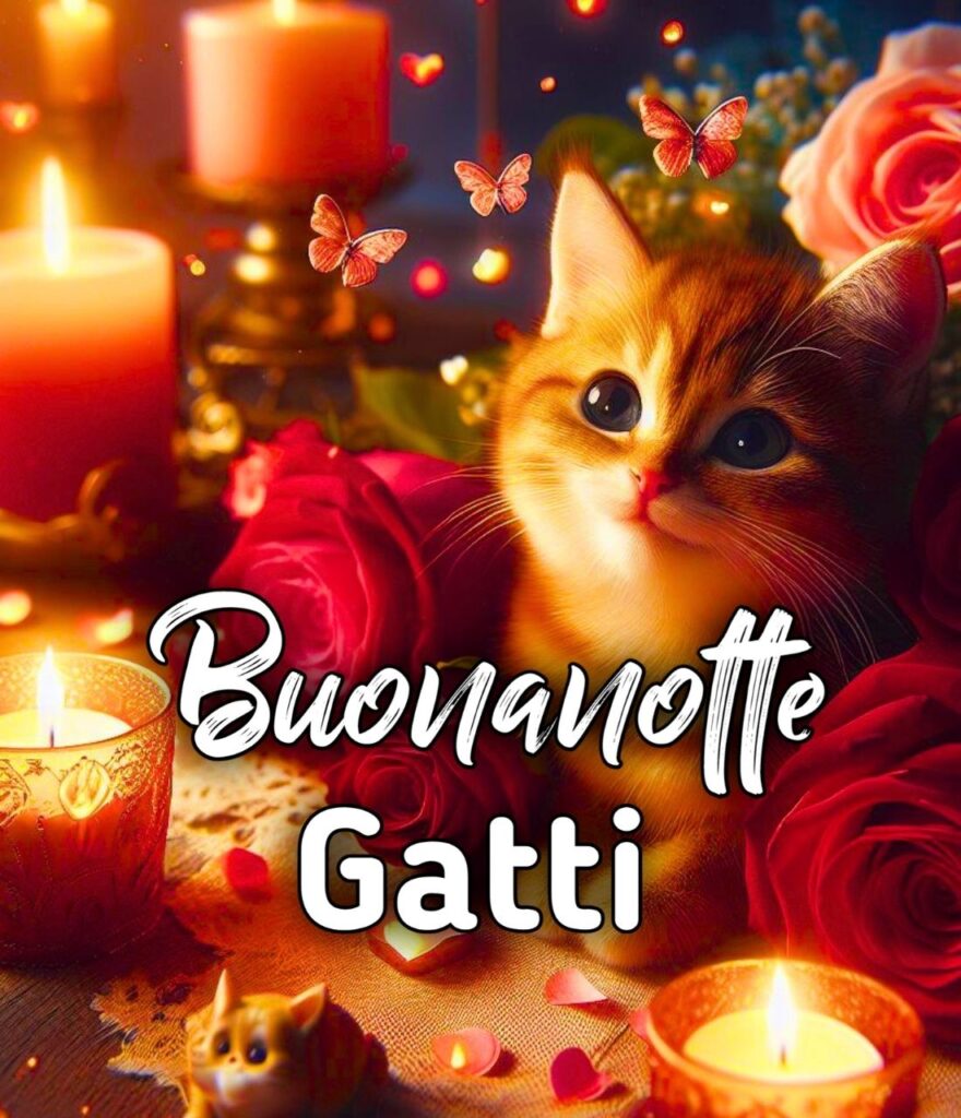 Buonanotte Con Gatto