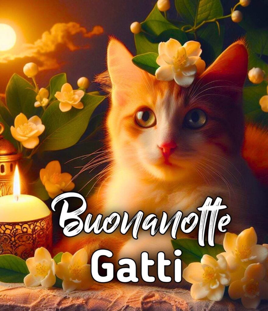 Buonanotte Con Gatto Rosso