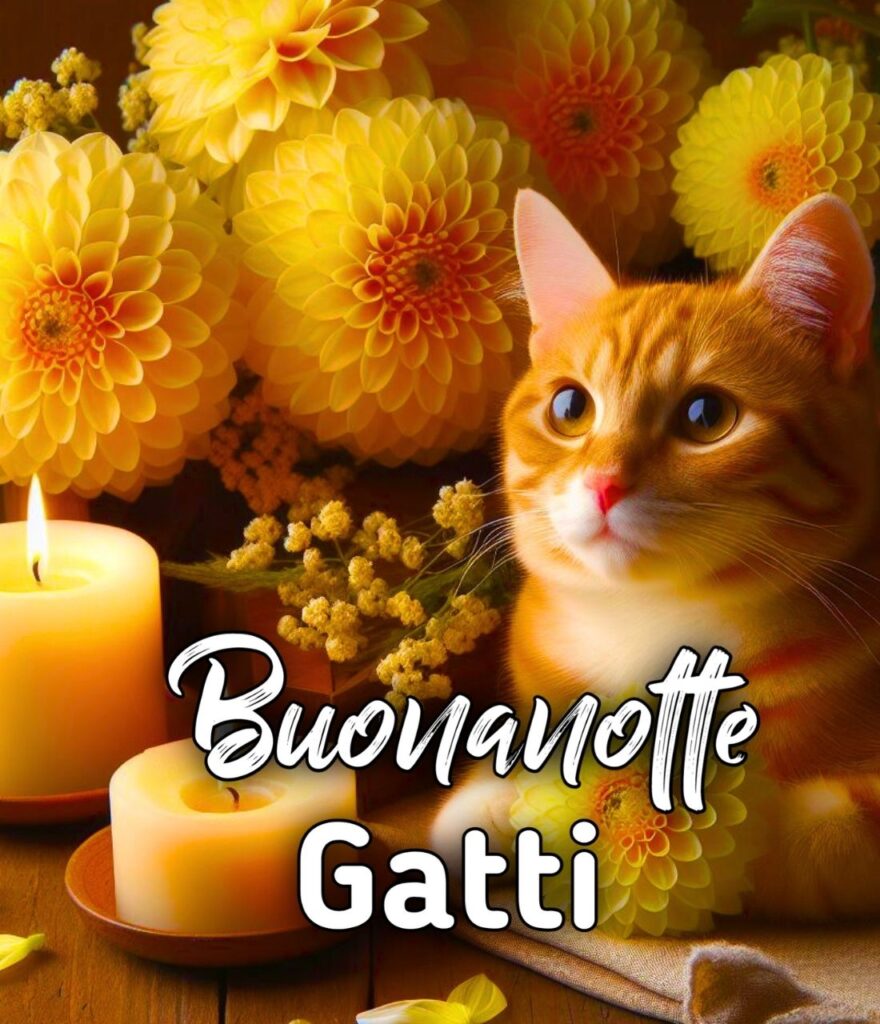 Buonanotte Con Gatto Silvestro