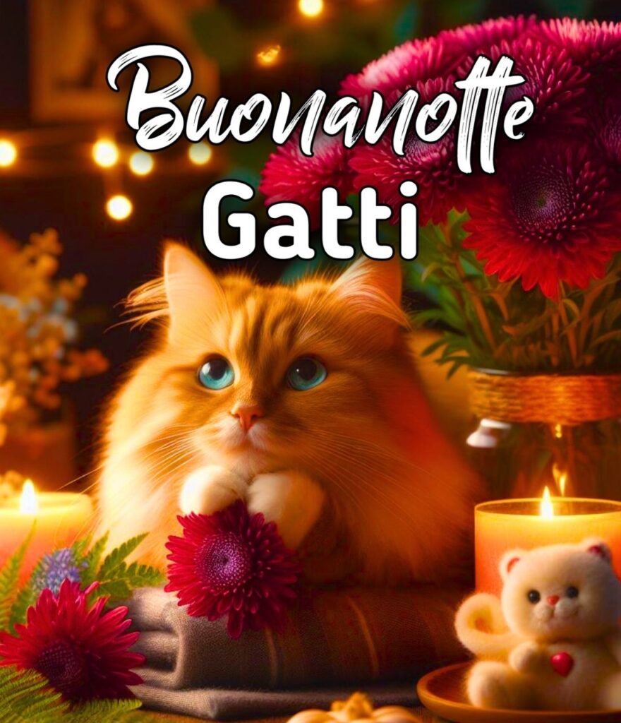 Buonanotte Con I Gatti