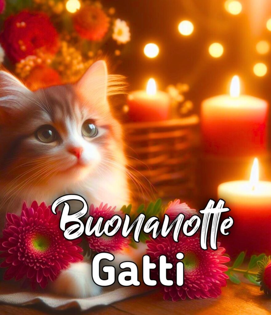 Buonanotte Con I Gatti Gif