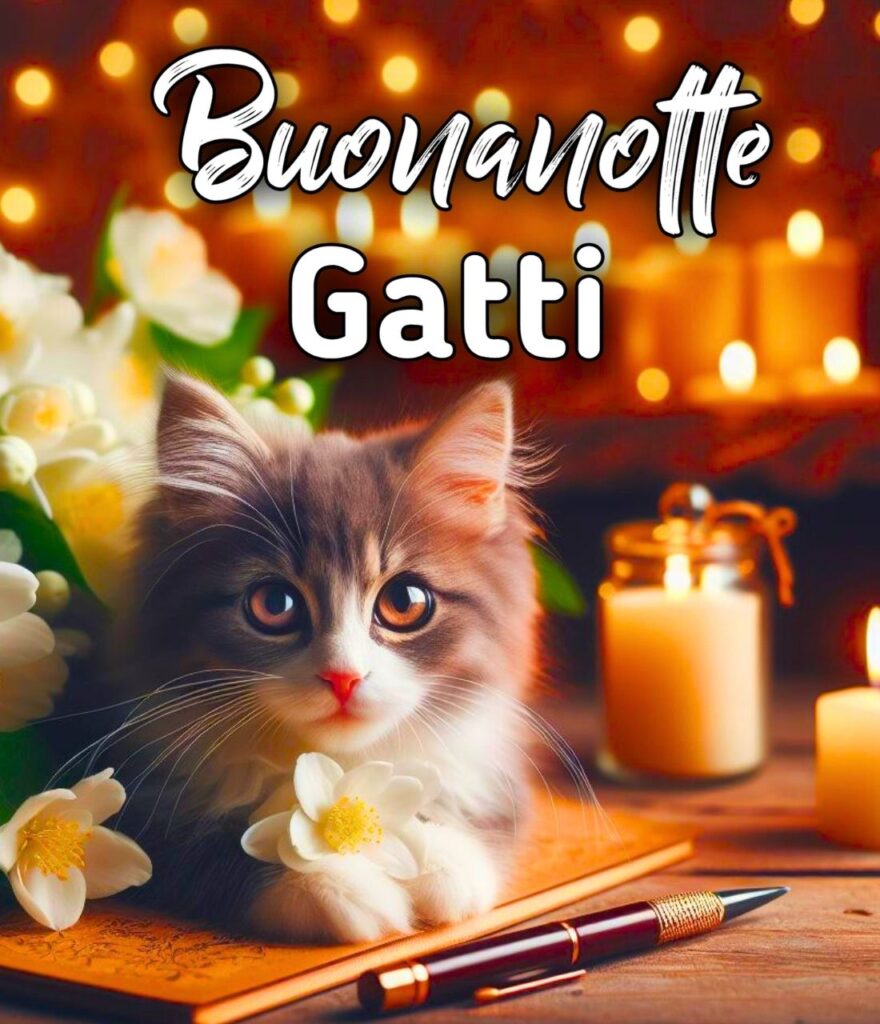 Buonanotte Con I Gatti Immagini