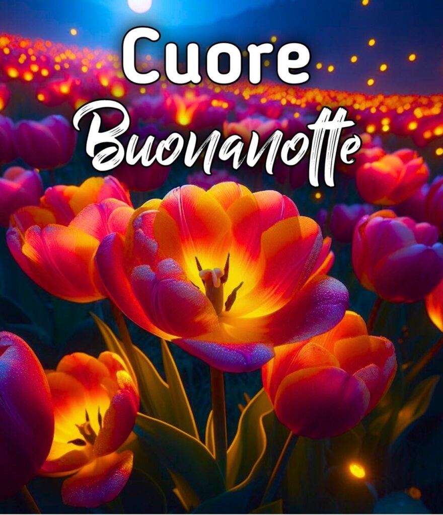 Buonanotte Con Il Cuore