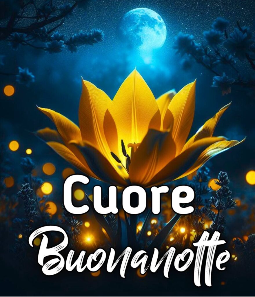 Buonanotte Con Il Cuore Immagini Nuove Gratis Per Whatsapp