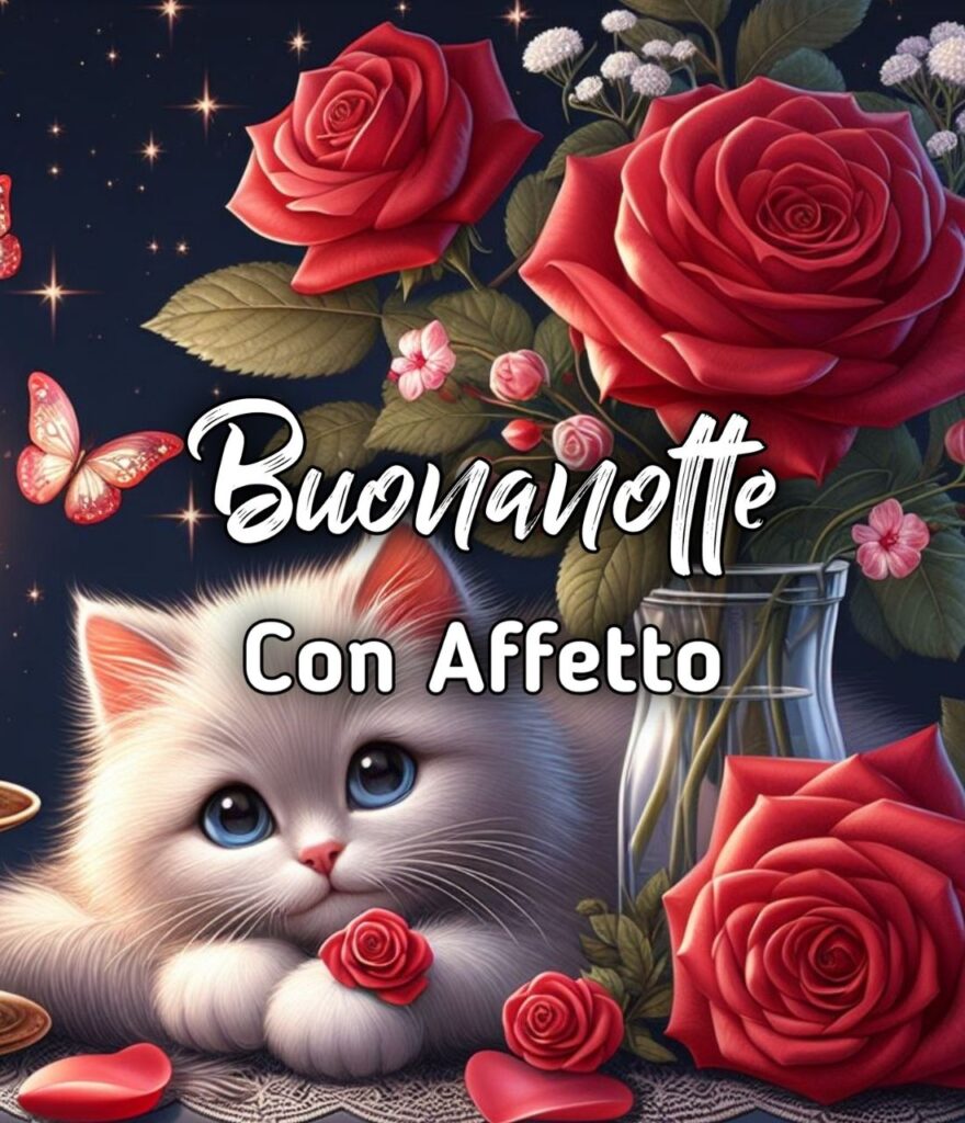 Buonanotte Con Sincero Affetto