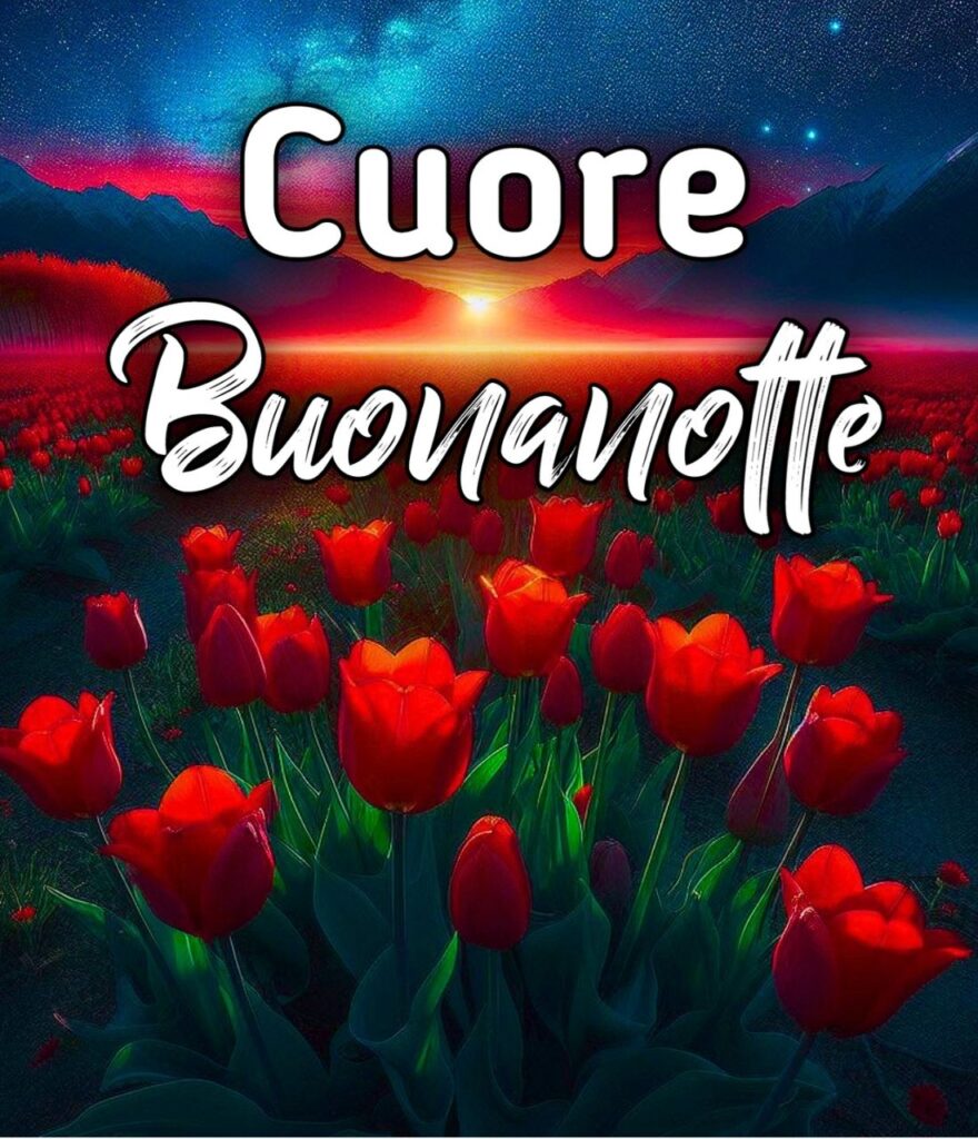 Buonanotte Cuore