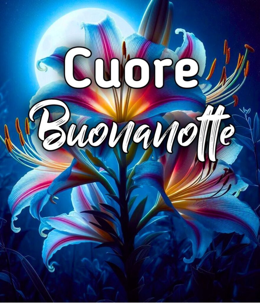 Buonanotte Cuore Di Anna