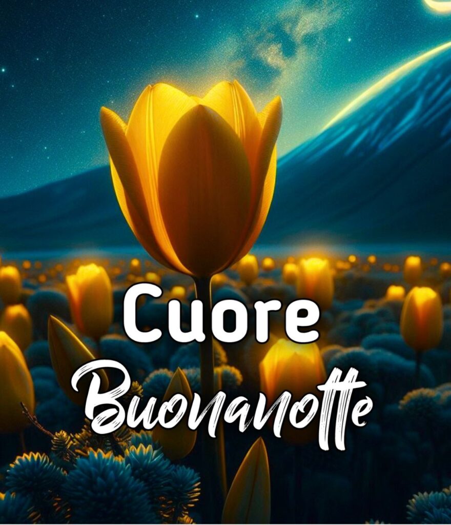 Buonanotte Di Cuore A Domani