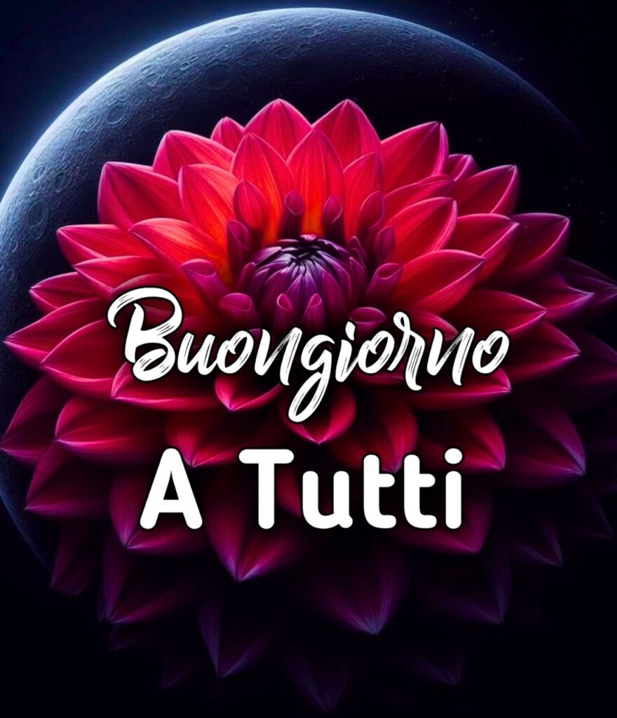 Buonanotte Di Tutto E Di Più