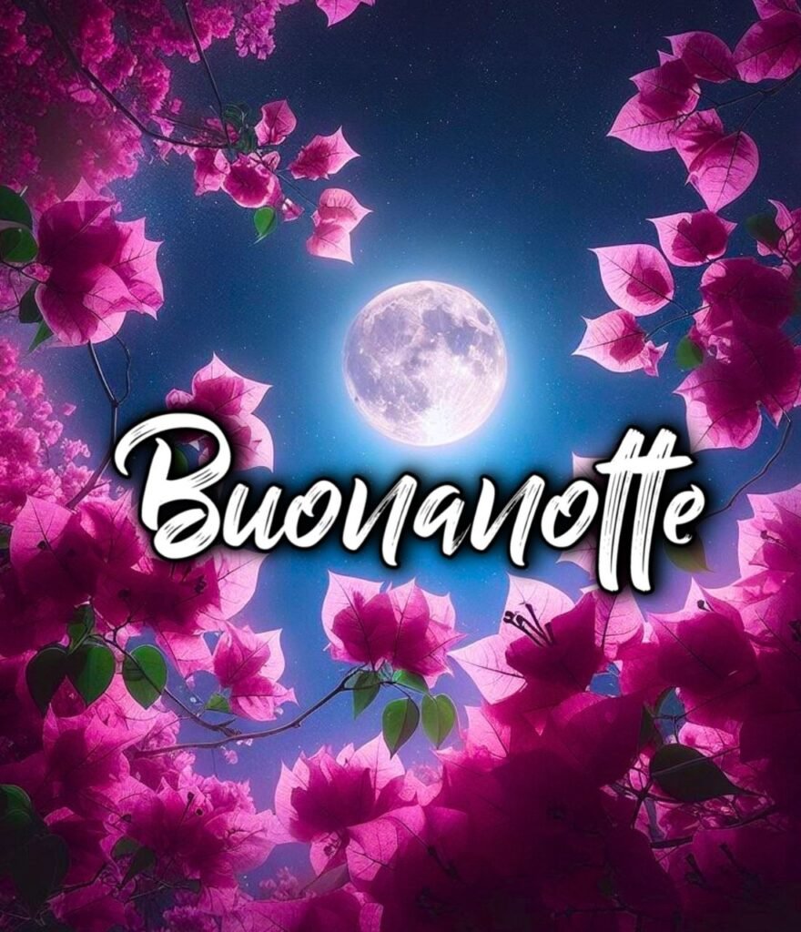 Buonanotte Foto Divertenti