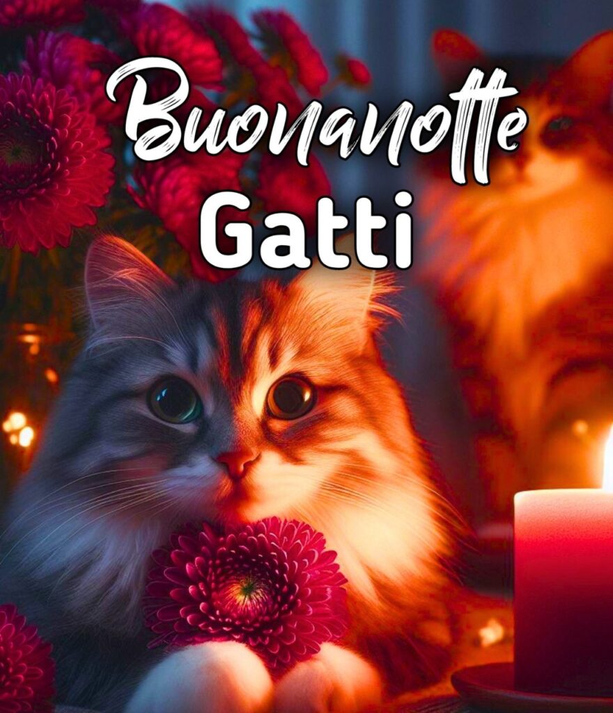 Buonanotte Gatti