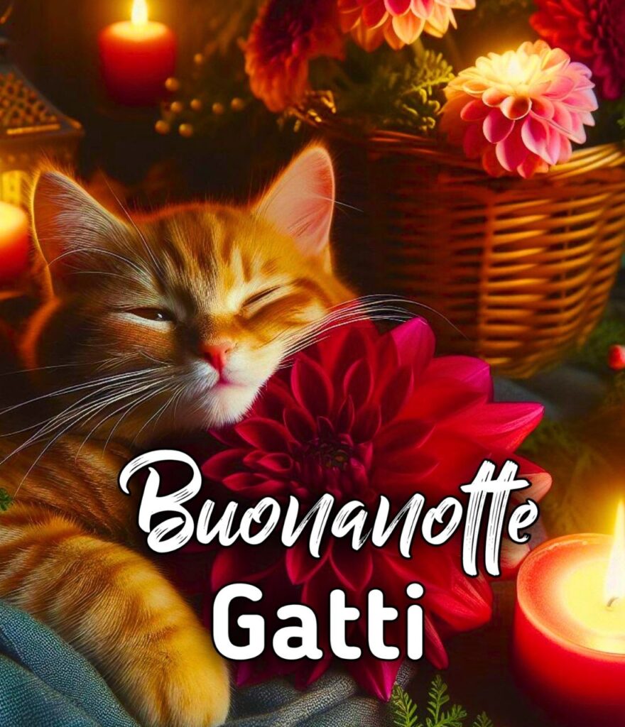 Buonanotte Gatti Buffi