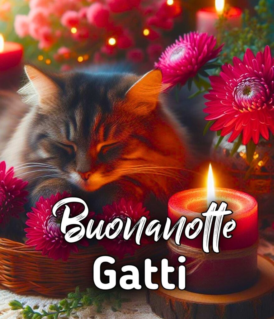 Buonanotte Gatti Simpatici