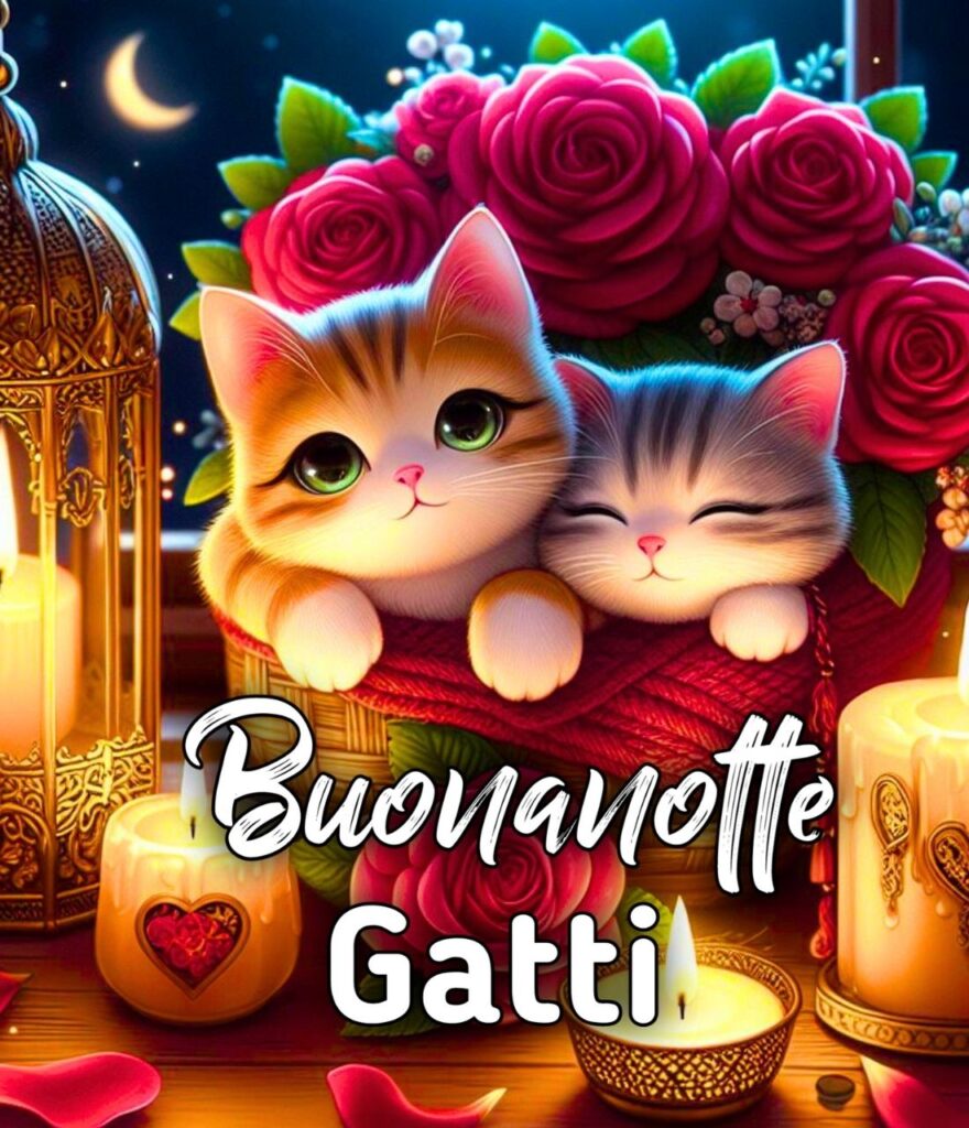 Buonanotte Gatto